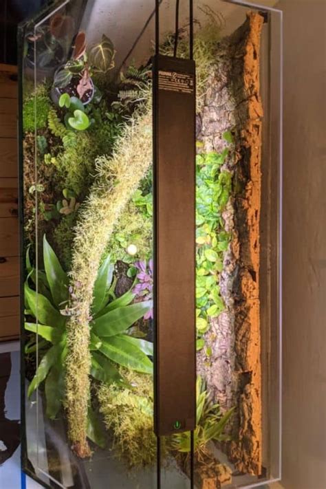 How To Make A Terrarium In A Fish Tank Aquarium Sea Crets