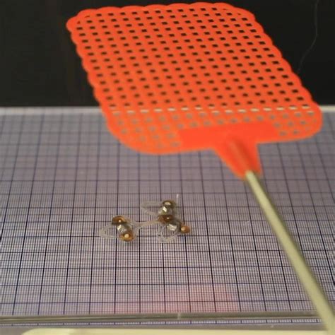 Researchers created an indestructible ‘robot insect’