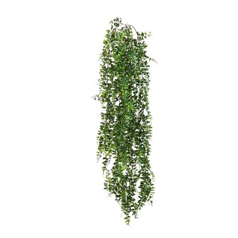 Green Leaves Ivy Hanging Transparent Background Png Mart Images And