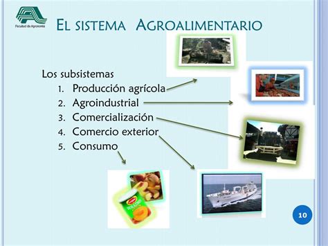 Ppt Procesos AgrÍcolas Y Medio Social Powerpoint Presentation Free