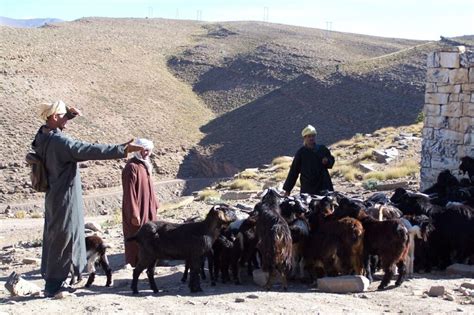 Sentiers Nomades Du Moyen Atlas Un Trek Maroc Authentique