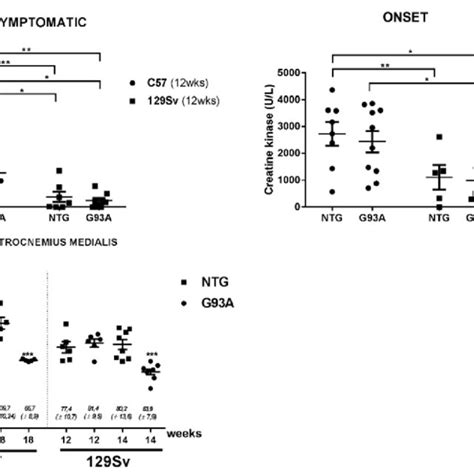 Ck Serum Levels U L In Slow And Fast Progressive Als Mice A Ck