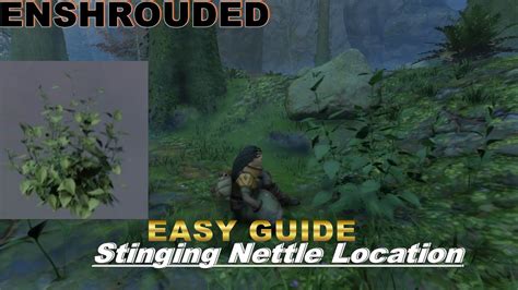 Easy Guide To Stinging Nettle Location Enshrouded Souls Of The