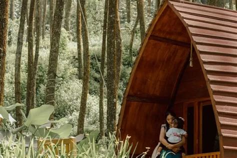 Menikmati Wisata Alam On Budget Di Pinea Forest Mangli Cuma 1 5 Jam