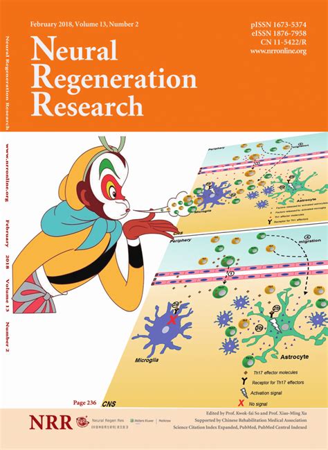 Pdf Retinal Ganglion Cell Neuroprotection By Growth Factors And