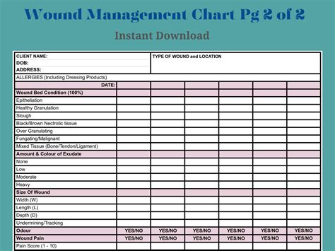 Comprehensive Wound Management Chart For Nurses Carers Community