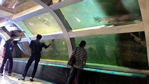 Aquarium Taman Pintar Homecare24