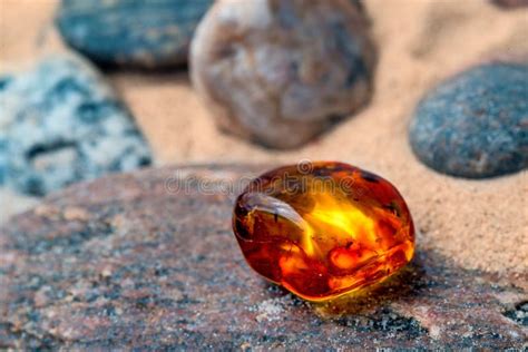 Bursztyn na plaży zdjęcie stock Obraz złożonej z gemstone 93667842