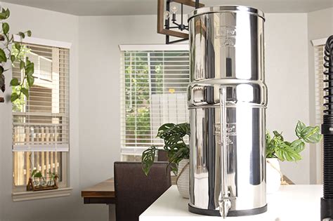 Do Berkey Water Filters Remove Fluoride