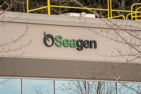 Seagen Merck Bladder Cancer Treatment Shows Positive Results Seagen