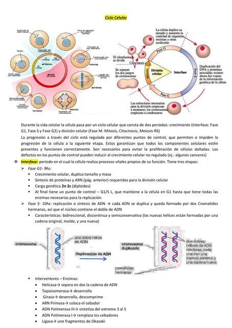 Biología Ingreso Unidad 2 Biología Celular 4ta Parte Mfrias Udocz