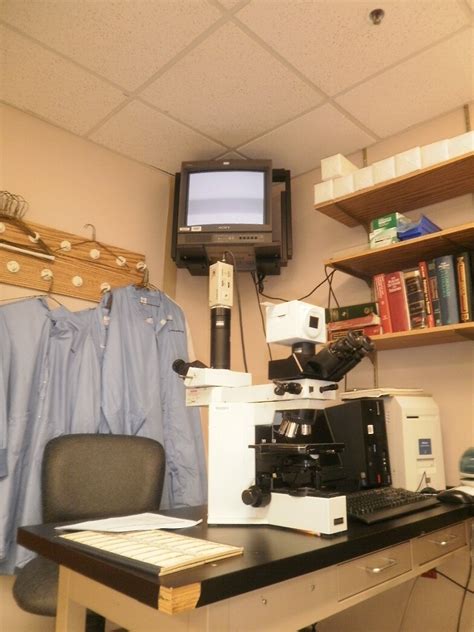 The Making Of A Pathologists Assistant A Trip To The Pathology Laboratory Gross Room