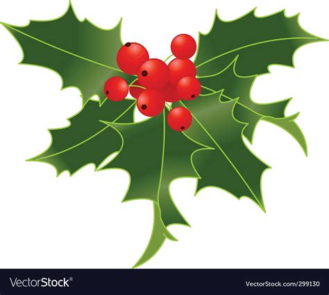 Holly berry Royalty Free Vector Image - VectorStock