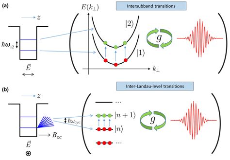 Cavity Polaritons Based On Intraband Transitions In Semiconductor