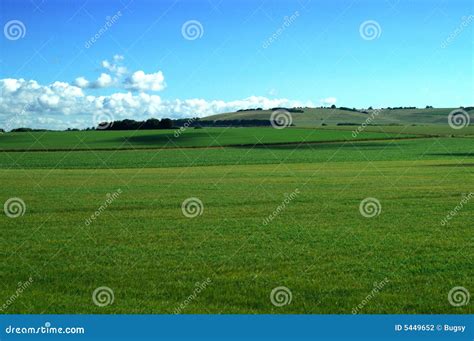 Pasto Verde Em Inglaterra Foto De Stock Imagem De Azul