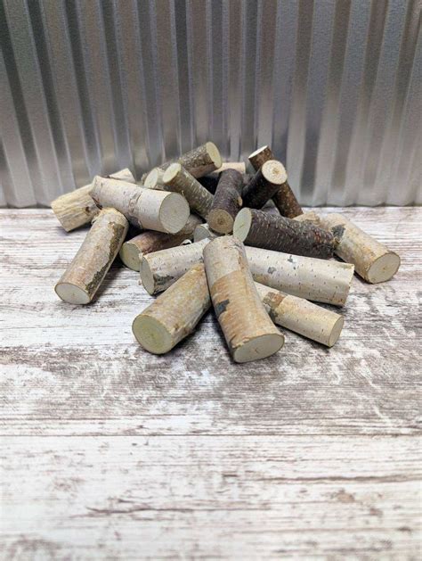 Mini Birch Logs - Etsy