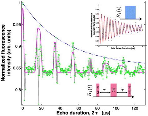 Electron Spin Echo Revivals And Rabi Oscillations Of A Single Nvc In An