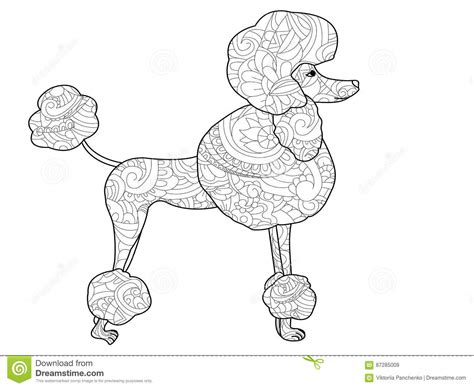 Vecteur De Coloration De Chien De Caniche Pour Des Adultes Illustration