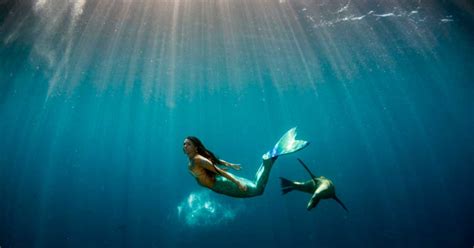 Hunting For Mermaids The Truth Behind The Myth Historic Mysteries