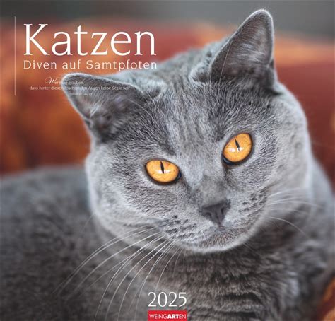 Kalender Katzen Diven Auf Samtpfoten Kalender 2025 Online Kaufen