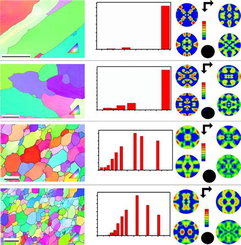 Typical Ebsd Microstructural Images Ipf And Grain Boundary And Grain