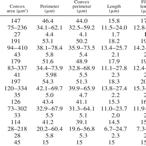 Descriptions Of The Morphometric Parameters Measured Download Table