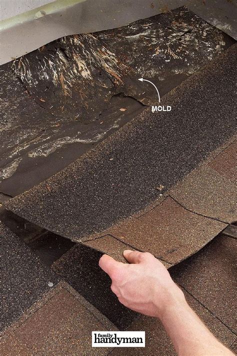 12 Roof Repair Tips Find And Fix A Leaking Roof Artofit