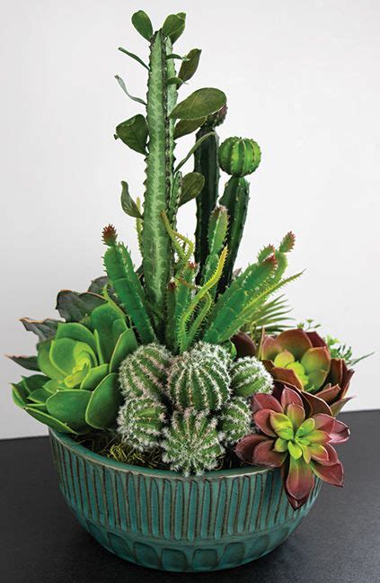 Desert Glimpses Spring Summer 2019 Collections Succulent Garden