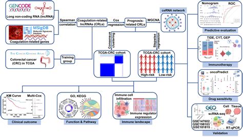 Frontiers Computational Identification And Clinical Validation Of A