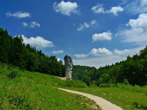 There Is A Large Rock In The Middle Of This Grassy Area With A Path