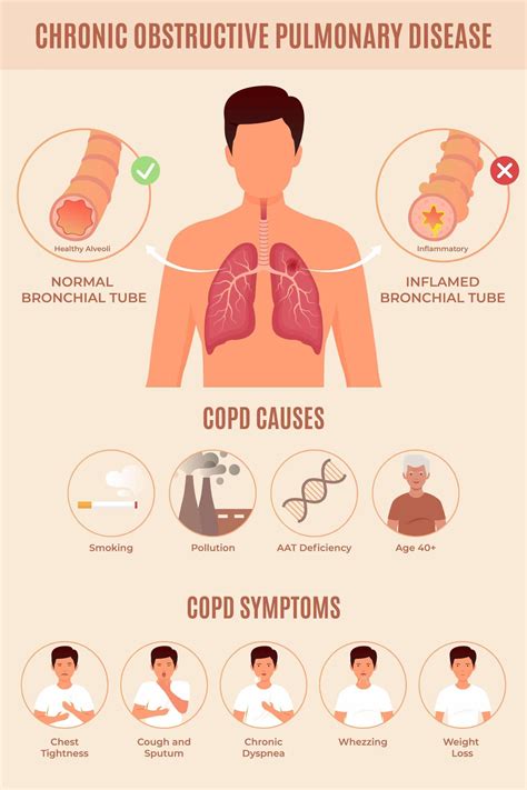 Chronisch Obstruktive Lungenerkrankung Copd Lungenerkrankungen