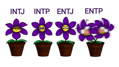 Pin By Akira On Salvamentos R Pidos Mbti Intp Entp