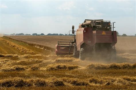 Uma Colheitadeira Est Trabalhando Em Um Campo De Trigo Colheita De