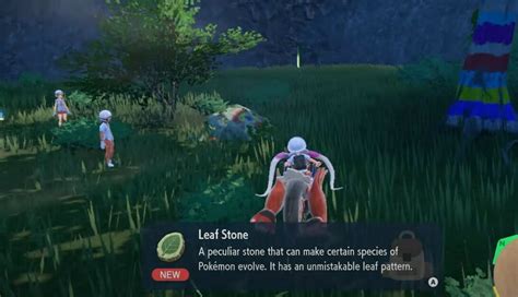 How To Get Leaf Stone In Pokemon Scarlet And Violet