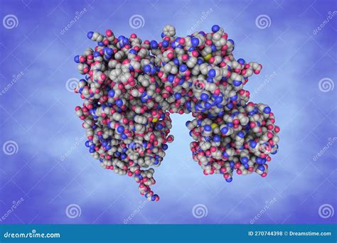 Matrix Metalloproteinase Mmp Macrophage Elastase Enzyme Mmps