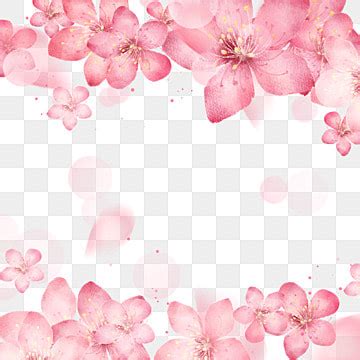 Cherry Blossom Pink Border