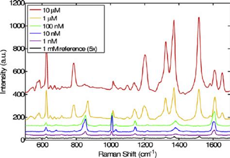 Sers Spectra Of R6g Molecules Ranging From 1 Nm To 10 μ M On The