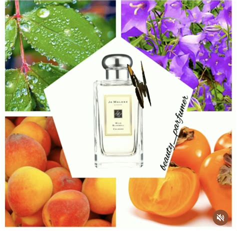 Пин от пользователя Noni Noni на доске parfum top notes | Духи, Женщина