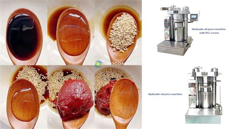 How To Make Sesame Oil Choose The Oil Press Machine By CHOCOMACH