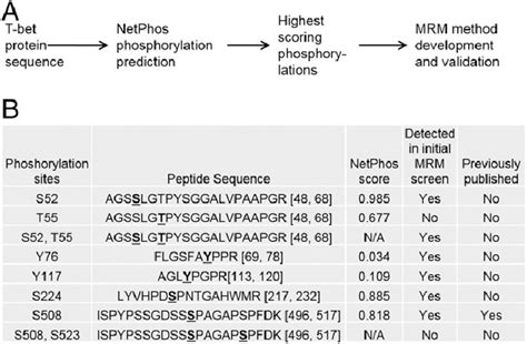 Proteomic Workflow For Discovery And Validation Of Novel T Bet Download Scientific Diagram