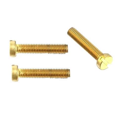 Brass Slotted Cheese Head Screw at Rs 450 kilogram सलट चज हड