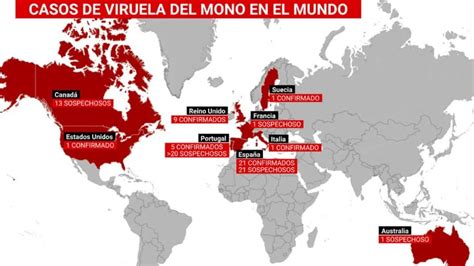 Viruela Del Mono Qué Dice La Oms Acerca De Los 80 Casos Confirmados En Europa Y América Del