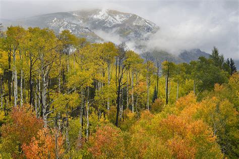 McClure Pass Fall Aspens Photograph by Dean Hueber - Fine Art America