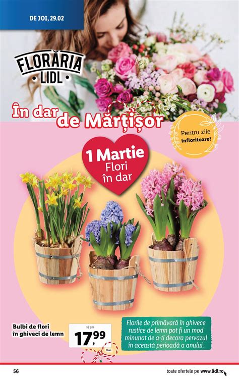 Oferta Floraria Lidl Buchete Flori De 1 Martie 2024 Revista Oferte Lidl