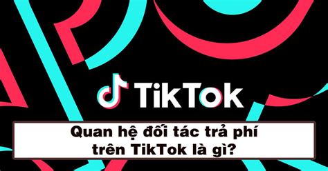 Tìm Hiểu Nội Dung định Hướng Thương Hiệu Tiktok Là Gì Và ảnh Hưởng đến