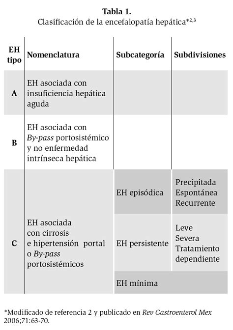 Gu As Cl Nicas De Diagn Stico Y Tratamiento De La Encefalopat A