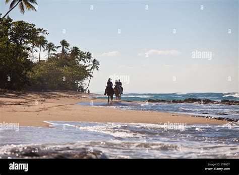 Horseback Riders At Las Marias Beach In Rincon Puerto Rico Stock Photo