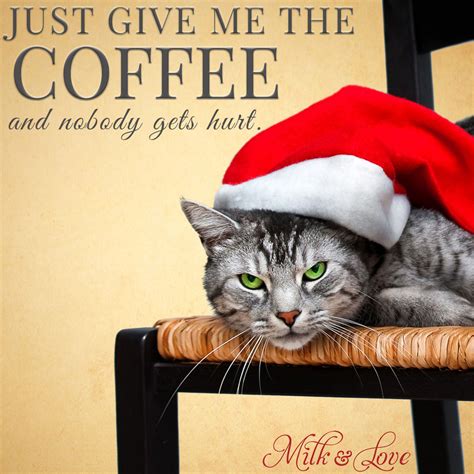 7 Funny Christmas Memes to make you laugh - Milk and Love