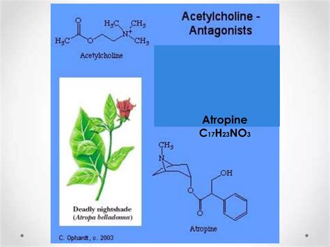 Atropine Ppt