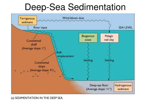 Ppt Marine Sedimentation Powerpoint Presentation Free Download Id